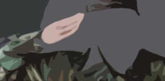 ¿Acoso sexual a la mujer en el Ejercito Español?