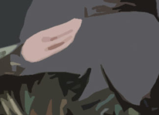 ¿Acoso sexual a la mujer en el Ejercito Español? ¿Acoso sexual a la mujer en el Ejercito Español?