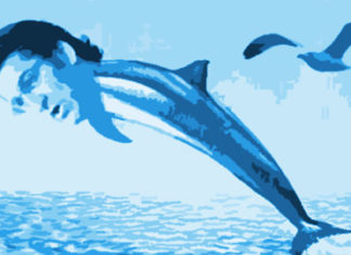 Núñez Feijóo, el delfín sin complejos del PP Núñez Feijóo, el delfín sin complejos del PP