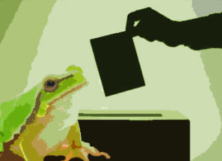 Ranas para la campaña electoral