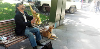 Perro, saxo y política de Salón