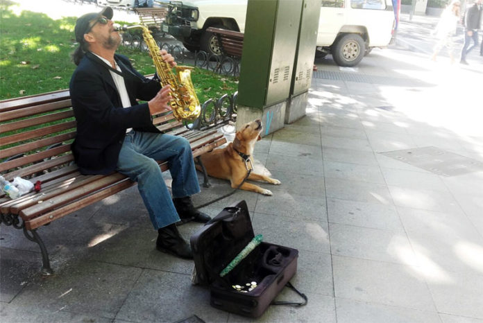 Perro, saxo y política de Salón Perro, saxo y política de Salón