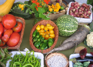 Productos recogidos en los huertos colectivos de las Huertas del Anillo Verde | FOTO: Blog de huertos urbanos de Vitoria Gasteiz