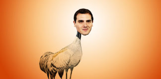 Pepito Grulla