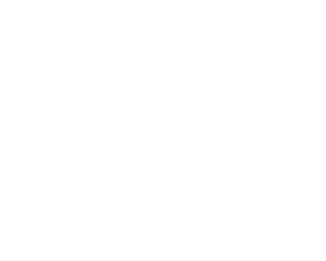 El Mentor