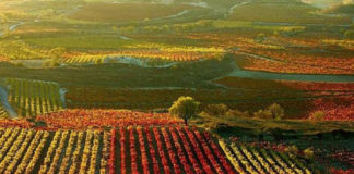 Euskadi, Navarra, Rioja, líos entre vecinos