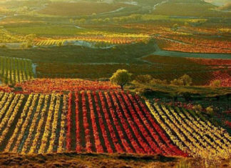 Euskadi, Navarra, Rioja, líos entre vecinos
