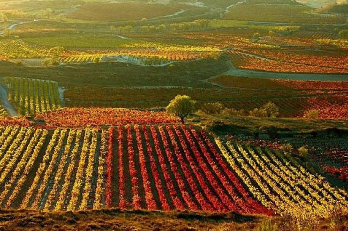 Euskadi, Navarra, Rioja, líos entre vecinos
