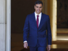 Pedro Sánchez en Moncloa / FOTO: Angel Navarrete/Bloomberg