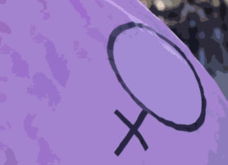 Sobre Posfeminismo o feminismo de salón: La verdadera revolución, tío, es que friegues tú el salón