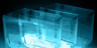 ¡¡¡Horror, tri-elecciones!!!