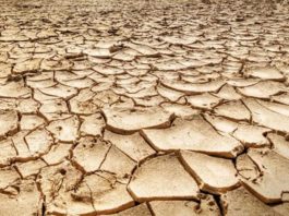 Cambio climático: ¿verdadero o falso?