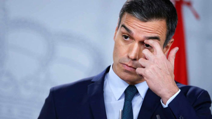 La zorra a cuidar del gallinero La zorra a cuidar del gallinero