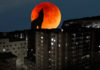 Ladrando a la luna