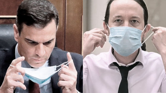 Pedro y Pablo olfatean su futuro Pedro y Pablo olfatean su futuro