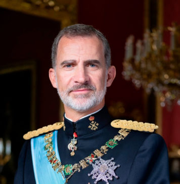 ¿Rey o Jefe de Estado? Felipe VI con traje de gala