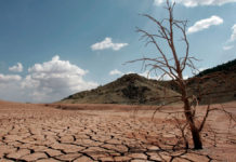 Migraciones y cambio climático Migraciones y cambio climático