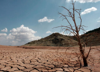 Migraciones y cambio climático Migraciones y cambio climático