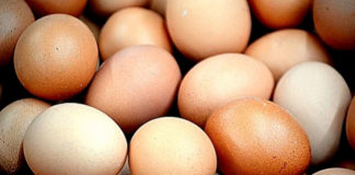 Pisando huevos
