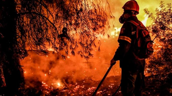 incendios-forestales
