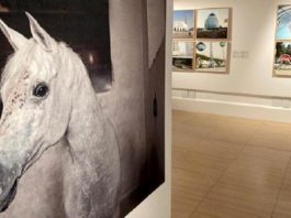 Exposición de Ana Nance