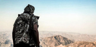 Yemen e Irán se inmiscuyen en la guerra