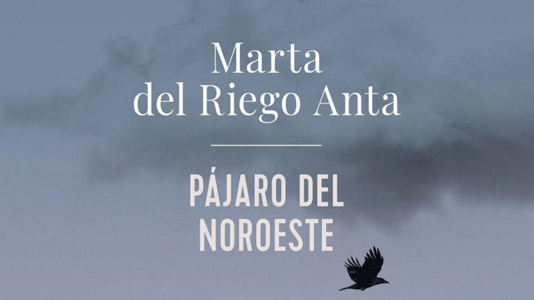 Pájaro del Noroeste | Marta del Riego Anta