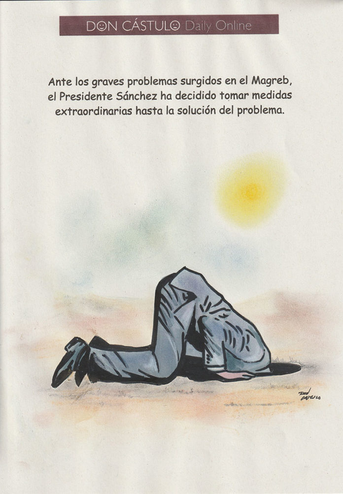 contundencia