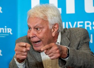 Necesitaríamos a Felipe González