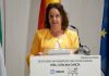 La consejera de Salud andaluza insiste en la necesidad de alcanzar un pacto nacional por la sanidad