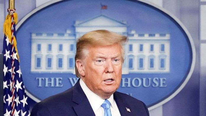trump24