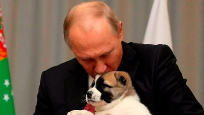 putin-besa-perro