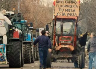 ¿Quién lidera la revuelta del campo?