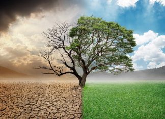 La Ley de Restauración de la Naturaleza (II)