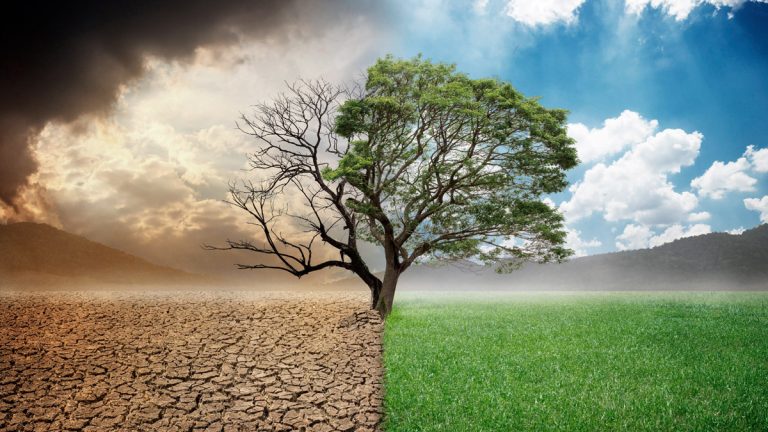 La Ley de Restauración de la Naturaleza (II)
