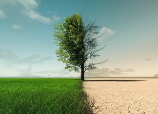 La Ley de Restauración de la Naturaleza (I)