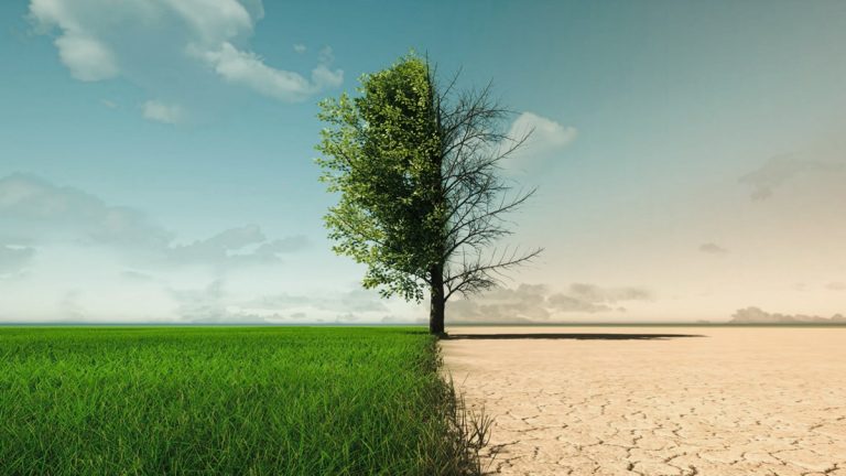 La Ley de Restauración de la Naturaleza (I)