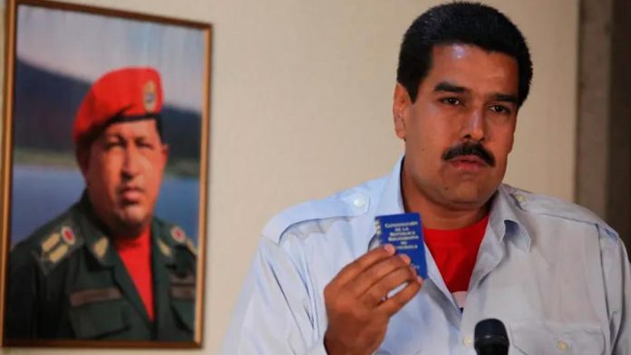 maduro-pielfina
