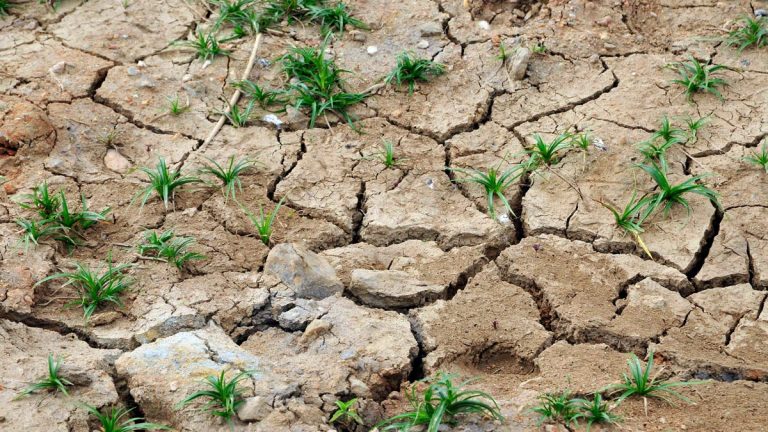 África no puede pagar la factura del cambio climático 